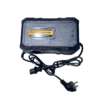incarcator rapid baterii gel/acid triciclu electric e kamyonet