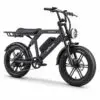 Bicicleta electrica APE RYDER COLOBUS BLACK, motor 250W, baterie 48V/10.4Ah, viteza 25 km/h, autonomie 60 km, adulti, roti 20", display LCD