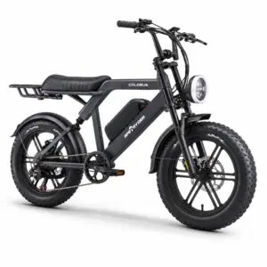 Bicicleta electrica APE RYDER COLOBUS BLACK, motor 250W, baterie 48V/10.4Ah, viteza 25 km/h, autonomie 60 km, adulti, roti 20", display LCD