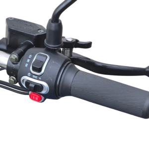 triciclu electric forte cargo 500 albastru, putere motor 1000 w, acumulator plumb acid 45ah