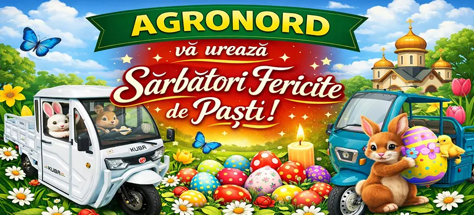 Безымянный 4ai