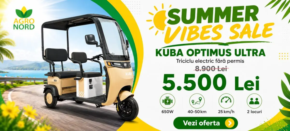summer sale optimus
