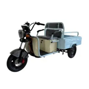 Triciclu electric FORTE CARGO 300 PLUS B02 cu motor de 2200 W, acumulator plumb-acid 60V/32Ah și benă utilitară, vedere din față.