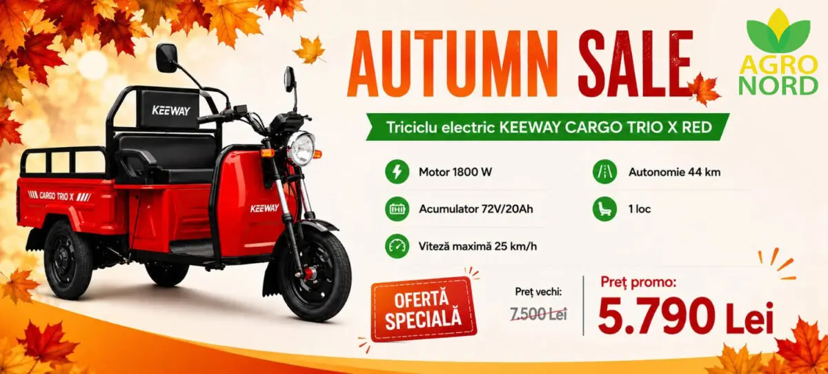 keeway cargo agronord result