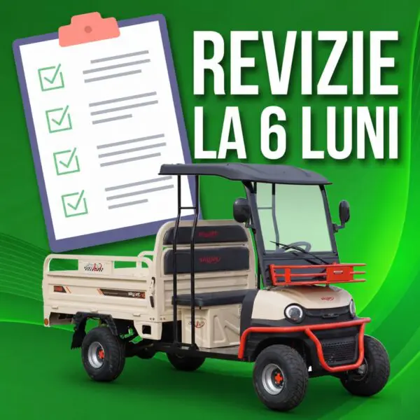 Revizie 6 luni Cvadriciclu electric cargo