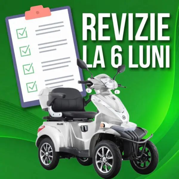 Revizie 6 luni Cvadriciclu electric persoane