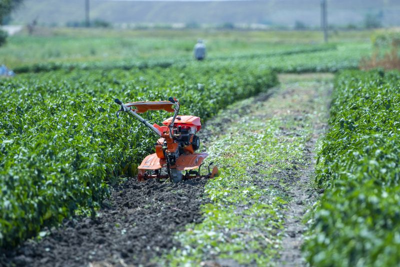 product_3220 Motosapă semiprofesională 7500acc3 7CP