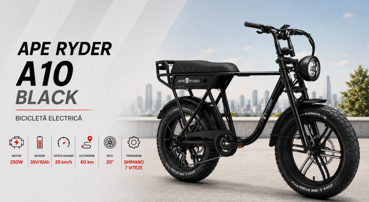 Bicicleta electrica APE RYDER A10-BLACK