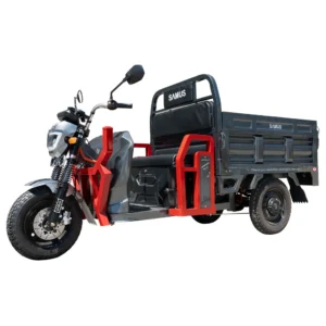 Triciclu electric cargo Samus Montana Roșu Argintiu vedere laterală