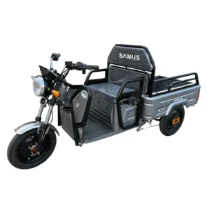 Triciclu electric cargo Samus Ranger 25 argintiu vedere laterală stânga