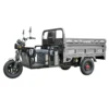 Triciclu electric cargo Samus Texas argintiu benă basculabilă