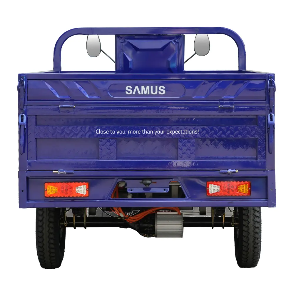 Samus Texas Albastru - Spate Vedere spate triciclu electric cargo Samus Texas albastru