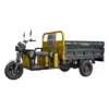 Triciclu electric cargo Samus Texas cu benă basculabilă