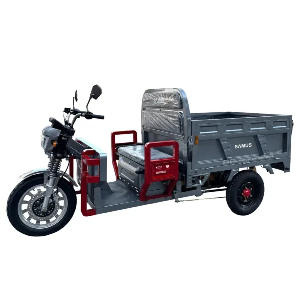 Triciclu electric cargo Samus Houston 25 km/h argintiu vedere laterală