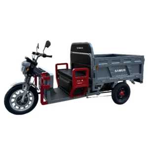Triciclu electric cargo Samus Houston 45 Silver vedere laterală