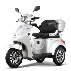 Tricicletă electrică SAMUS DALLAS Argintiu cu motor 1000W, baterie 60V 20Ah și autonomie de până la 45 km