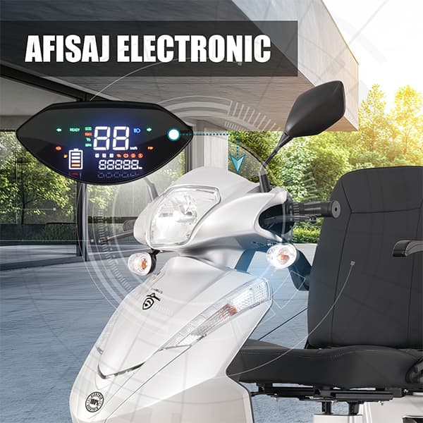 Afișaj digital bord triciclu electric Samus Dallas Silver