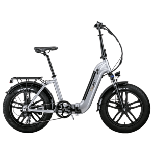 Bicicleta electrica SkyJet 4S, motor 250W, baterie 36V/10Ah, viteza 25 km/h, autonomie 60 km, adulti, gri, roti 20", display LCD
