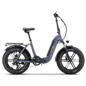 Bicicleta electrica SkyJet 4S, motor 250W, baterie 36V/10Ah, viteza 25km/h, autonomie 60Km, adulti, roti 20", display LCD