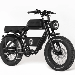 Bicicleta electrica APE RYDER BONOBO MIDNIGHT, motor 250W, baterie 48 V/20 Ah, viteza 25Km/h, autonomie 70Km, adulti, roti 20", display LCD