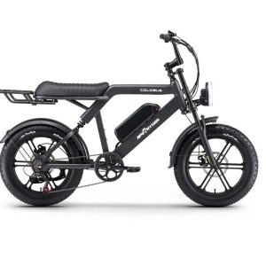 Bicicleta electrica APE RYDER COLOBUS BLACK, motor 250W, baterie 48V/10.4Ah, viteza 25 km/h, autonomie 60 km, adulti, roti 20", display LCD