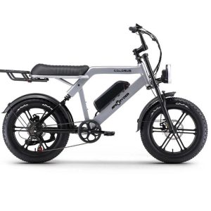Bicicleta electrica APE RYDER COLOBUS GREY, motor 250W, baterie 48V/10.4Ah, viteza 25 km/h, autonomie 60 km, adulti, roti 20", display LCD