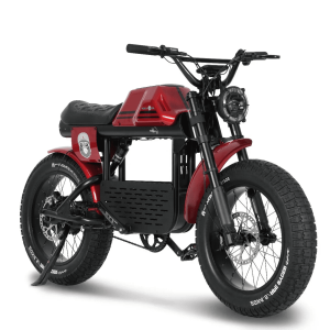 Bicicleta electrica APE RYDER GIBBON FIERY RED, motor 250W, baterie 48V/20Ah, viteza 25 Km/H, autonomie 70 Km, adulti, roti 20", display LCD