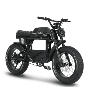 Bicicleta electrica APE RYDER GIBBON MATT BLACK, motor 250W, baterie 48V/20Ah, viteza 25 Km/h, autonomie 70 Km, adulti, roti 20", display LCD