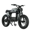 bicicleta electrica ape ryder gibbon,bicicleta electrica cu scaun dublu,bicicleta electrica pentru 2 persoane,bicicleta electrica 250w 48v 20ah,bicicleta electrica autonomie 70km,bicicleta electrica cu suspensie dubla,bicicleta electrica cu anvelope late,bicicleta electrica step-through,bicicleta electrica pentru plimbari in cuplu,bicicleta electrica motor bafang