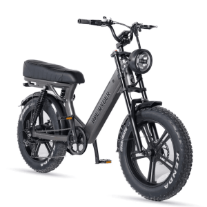 Bicicleta electrica APE RYDER MD10 PRO CARBON , motor 250W, baterie 48 V/14,5Ah, viteza 25km/h, autonomie 70km, adulti, roti 20", display LCD