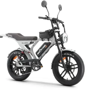 Bicicletă electrică APE RYDER MANDRILL Grey cu motor Brushless 250W, baterie Li-Ion 48V/15Ah, autonomie până la 60 km și frâne hidraulice Karasawa.