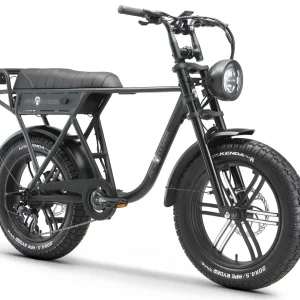 Bicicleta electrica APE RYDER A10, motor 250W, baterie 36V/10Ah, viteza 25 Km/h, autonomie 60 Km, adulți, roți 20", schimbator Shimano. transmisie 7 viteze, negru