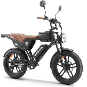 Bicicleta electrica APE RYDER GENON ULTRA-BLACK, motor 250W, baterie 48V/15Ah, viteza 25 Km/H, autonomie 60 Km, schimbator Shinamo TX70 7 viteze, adulti, roti 20", display LCD, 1 loc, negru