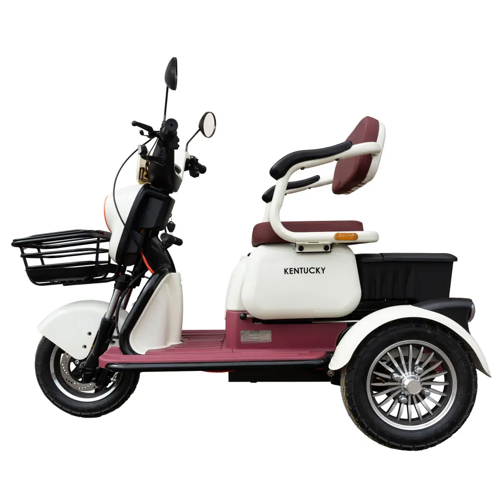 Triciclu Electric Samus Kentucky - Profil Triciclu electric Samus Kentucky profil lateral bej-vișiniu