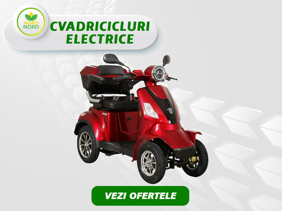 cvadricicluri electrice