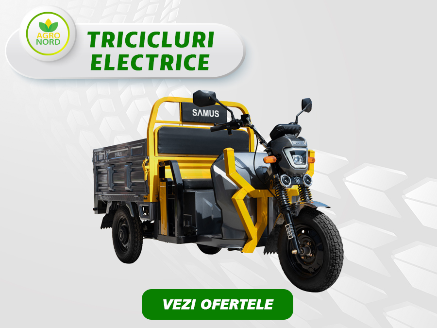 tricicluri electrice